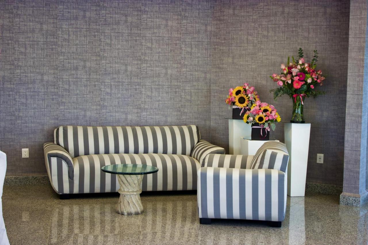 San Juan Park Hotel San Juan del Rio Exterior photo A sofa and armchair